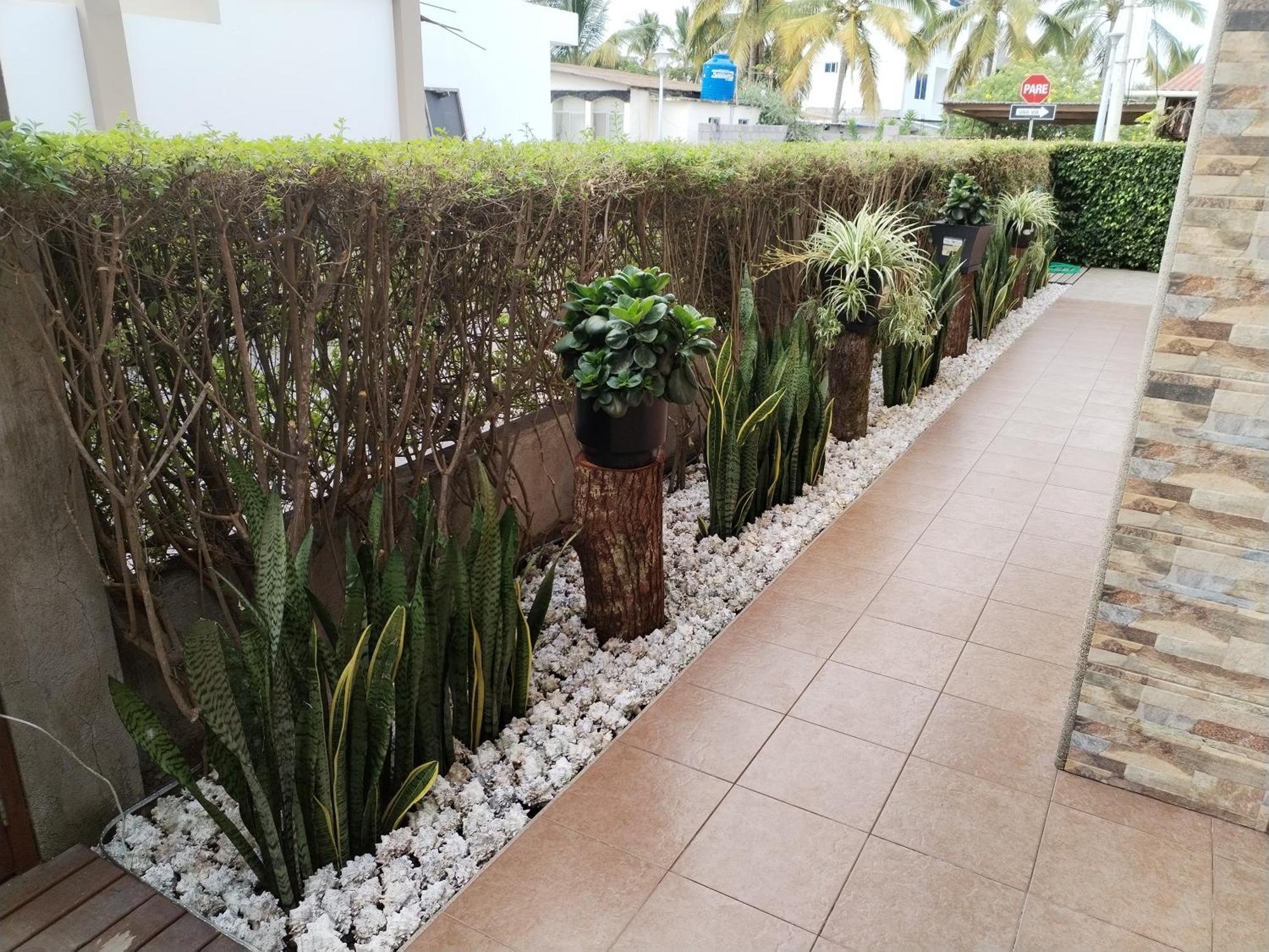 Hotel Starfish Puerto Villamil Exteriér fotografie